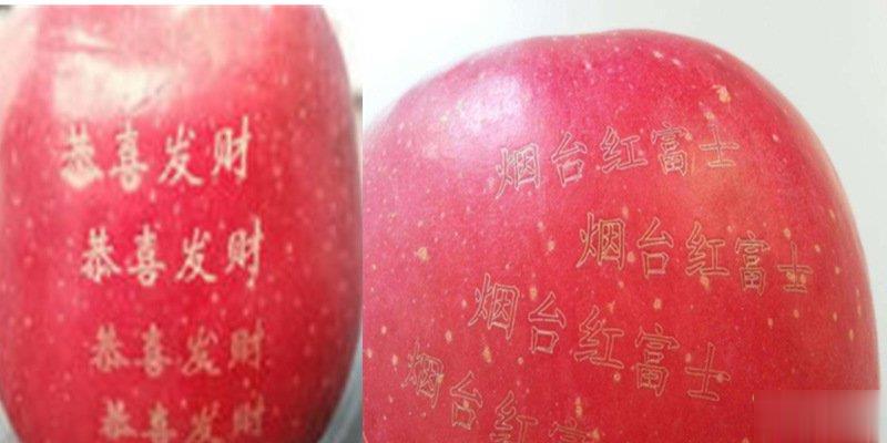 激光打標機在水果上是怎么打標的呢？